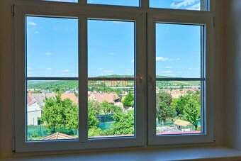 Pěkný světlý byt se zahrádkou Hustopeče - 12