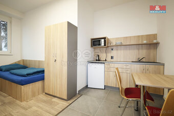 Pronájem ubytovacího zařízení, 300 m², Dalovice, Botanická - 12