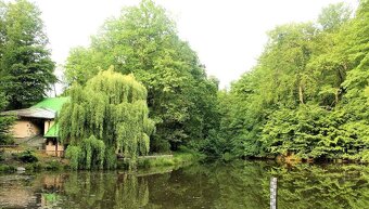 Pronájem bytu 2+1 v Orlové - Lutyni, bez realitky - 12