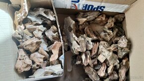 Kompletni set pro chov krevetek - 12