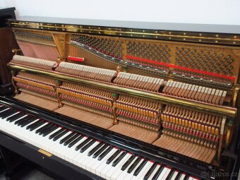Steinway and Sons najvyššía prémiová kvalita - 12