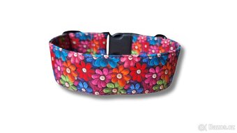 Obojek, vodítko, postroj - 12