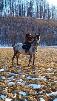 Valach do sportu nebo rekreaci - 12