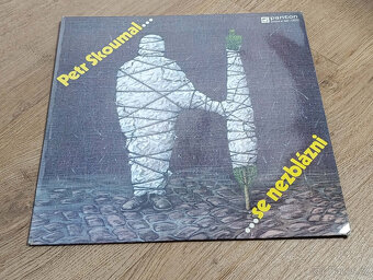 LP platne - českí interpreti - 12