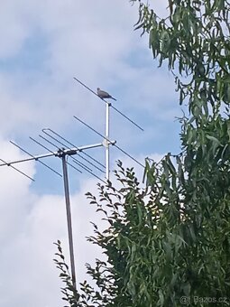 Zkušený anténář i  fanda ve svém oboru z Posázaví. - 12