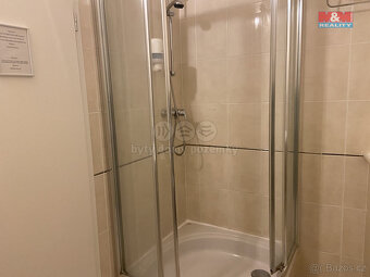Pronájem apartmánu, 110 m², Plzeň, ul. Zbrojnická - 12