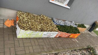 Vánoční Jmeli - 12