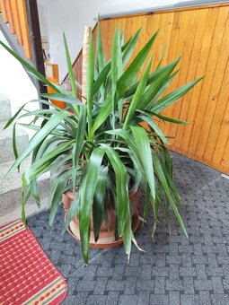 Kytky - 12