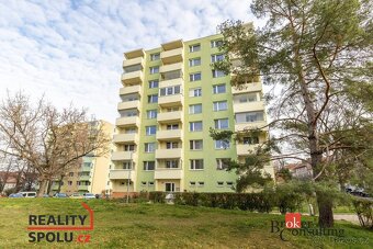 Pronájem, byty/2+1, 57 m2, Palackého, Znojmo, Znojmo [ID 721 - 12