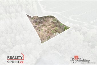 Prodej, pozemky/vinice/sady, 17330 m2, Hřebeny, Josefov, Sok - 12