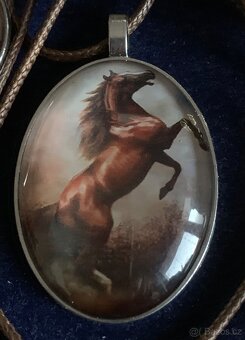 tématika. koně - 12