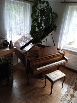 Klavír křídlo Petrof model V, Baroko Gavota Chippendale - 12