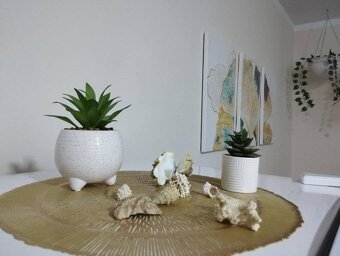 Apartmán v Egyptě - 12