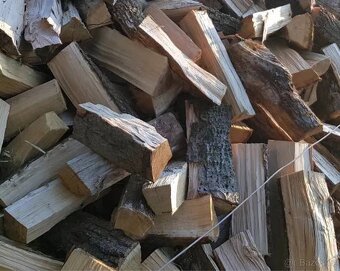 Palivové dřevo měkké,tvrdé - 12