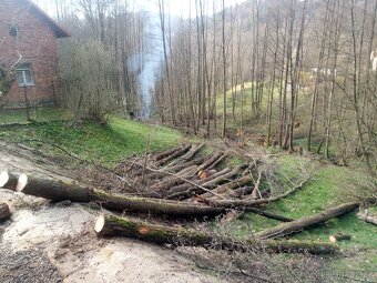 Zahradnické služby - 12
