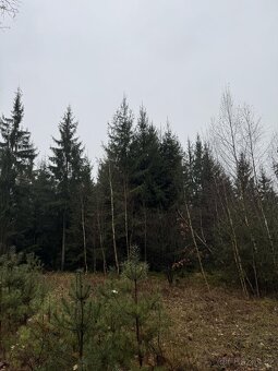 Prodám pozemky v k.ú. Veliny - 12