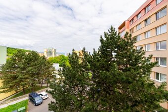 Pronájem bytu 2+kk v osobním vlastnictví 43 m², Bílina - 12