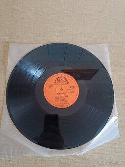 Staré gramofonové desky, 197 ks - 12