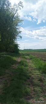 Pronájem zahrady 400 m2 - 12