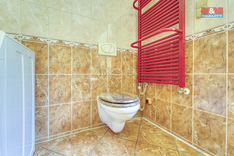 Prodej rodinného domu, 300 m², Dolní Bělá, ul. Dolní Bělá - 12