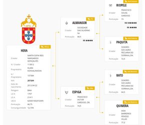 EXTRA SLEVALusitano kobyla - 12