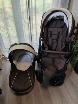 DorJan Butterfly - 12