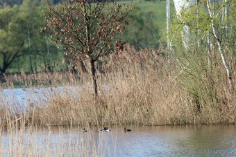 Fotoaparát Canon EOS 1200D a objektiv Tamron AF70-300mm - 12