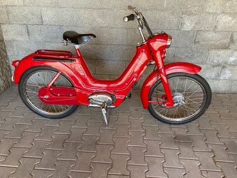 Jawetta 551 - 12