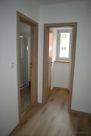 Prodej bytu 2+1, 55 m2, Horka Domky - REZERVACE - 12