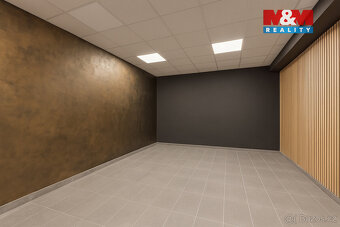 Pronájem kancelářského prostoru, 166 m², Louny, ul. Březinov - 12