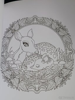 Omalovánky 50 Autumn Mandalas - 12