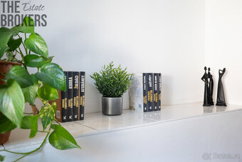 Prodej rodinného domu  4+1-170m2, garáž, pozemek 672m2 - 12