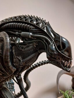 Alien Warrior Prime 1 Studio - 12