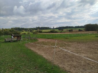 Pozemek - 12