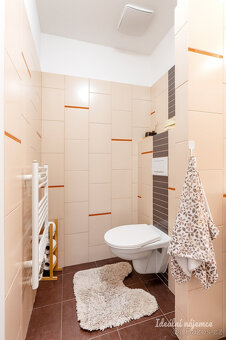 Pronájem bytu 2+kk, Košická, Vršovice, 29.900,- / 48 m2 s pa - 12