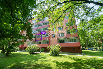 Pronájem bytu 2+1 s lodžií, ulice Jaselská, Ostrava-Poruba - 12