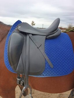 Drezurní sedlo Kentaur Afrodité - 12