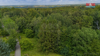Prodej lesa, 3376 m², Višňová - 12