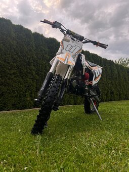 Pitbule Leramoters Shark 125cc 4T 17/14 - 12