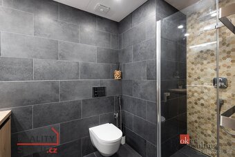 Pronájem, byty/1+kk, 31 m2, Železná 3061/12, Jižní Předměstí - 12