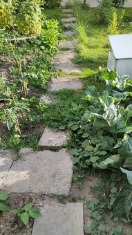 BETONY, DLAŽBA, YTONG - MIX - 12