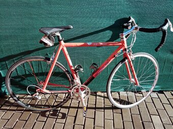 Silniční kolo - 12