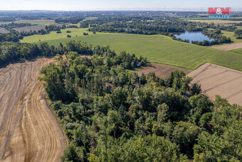 Prodej lesa, 2252 m², Horka nad Moravou - 12