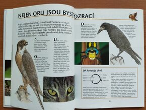 Různé dětské knihy a encyklopedie - 12
