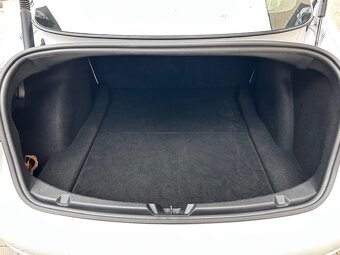 Tesla model 3 Performance refresh, 2021, DPH - 12