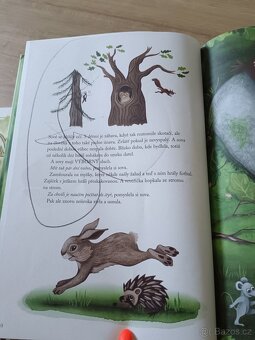 dětské knížky a pohádky - 12