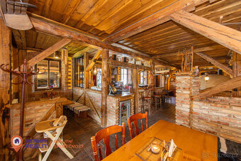 Prodej, penzion s restaurací, 4.658 m2, Dolní Morava - 12