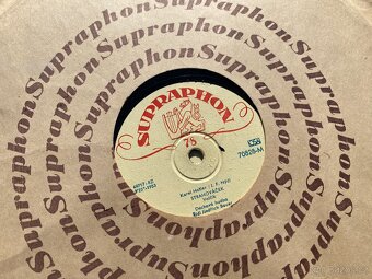 LP desky staré gramofonové desky gramo desky vinyl - 12