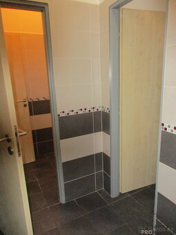 Pronájem nebytových prostor ve Veselí nad Moravou - 12