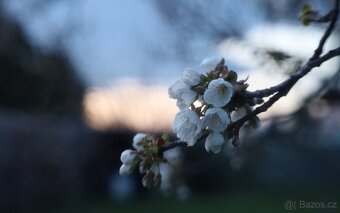 HELIOS 44-2 - 12